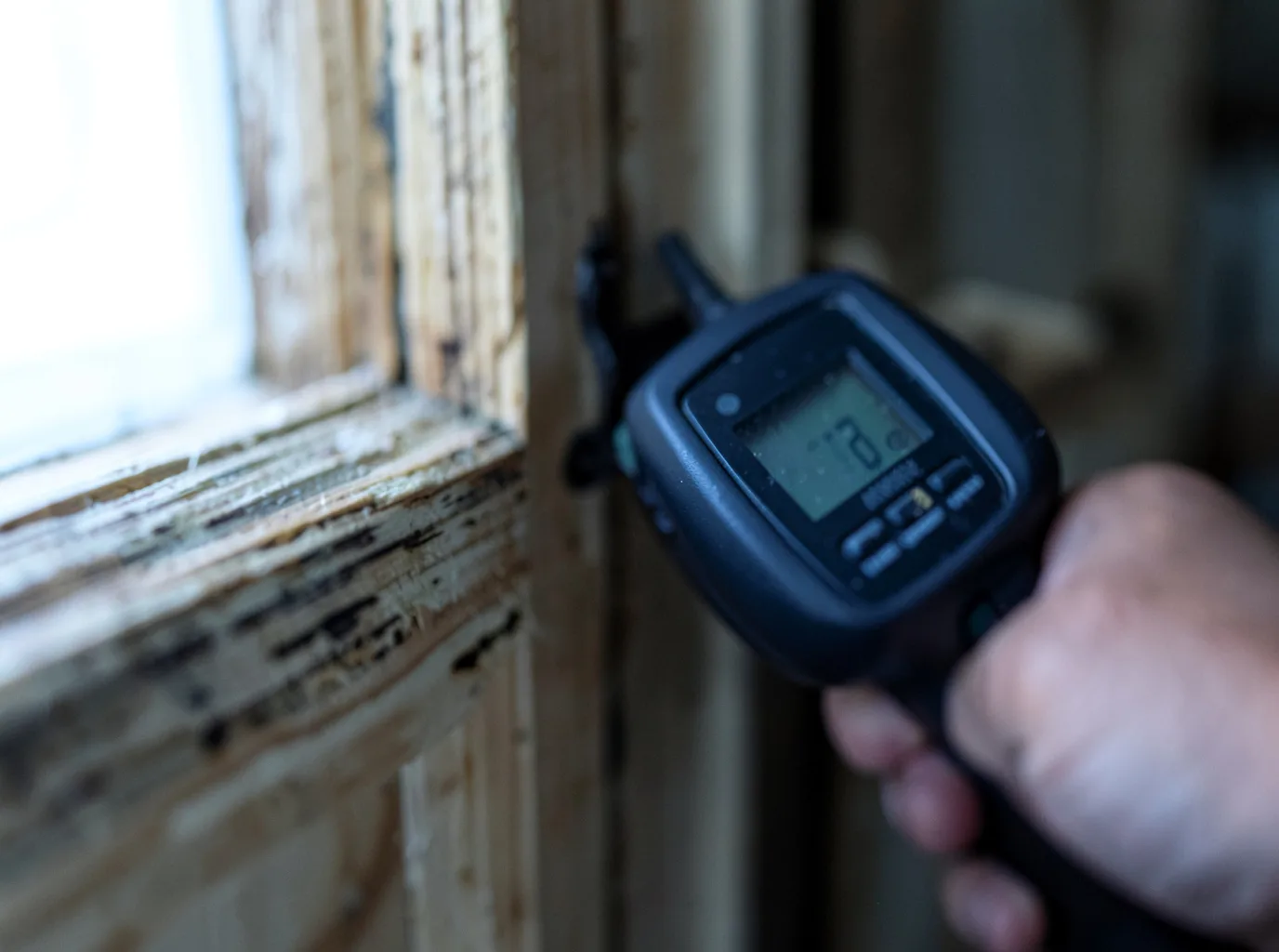 Moisture Inspection And Documentation in Silver City, MS